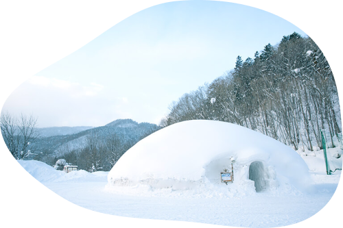 igloo image
